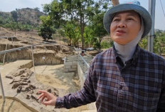 BRIN Buru Fosil Gajah Purba 500 Ribu Tahun di Patiayam Kudus, Berpotensi Ubah Sejarah Nusantara