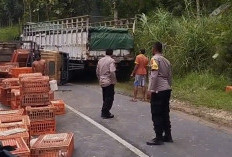 Truk Bermuatan Empat Ton Ayam Terguling di Jalur Pati Purwodadi, Ini Penyebabnya