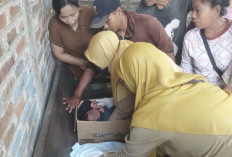 Temuan Bayi Perempuan di Bengkel Mobil Gegerkan Warga Ketanen Pati