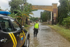 45 Desa di Pati Masih Terendam Banjir, Penyakit Leptospirosis Mengancam