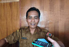 5 Hektare Lahan Rob Batang Dibidik untuk Budidaya Nila Salin