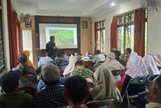 Hortikultura Lahan Kering, Petani Batang dapat Bibit Gratis Alpukat hingga Pisang
