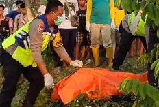 Mayat Pria Ditemukan di Kebun Pinggir Tol KM 306 Pemalang, Ternyata Warga Bantarbolang