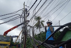 44 Tiang Listrik Roboh Diterjang Puting Beliung di Batang, PLN Pekalongan Kerahkan 15 Tim