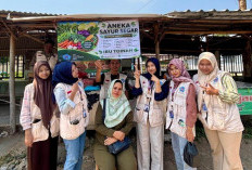 Mahasiswa KKN UMUS Brebes Bantu Tingkatkan Daya Saing UMKM Desa Surokidul 