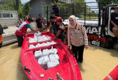 Sungai Cacaban Meluap, Ratusan Rumah di Sidaharja Tegal Terendam Banjir 1,2 Meter