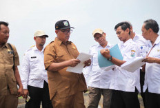 Kota Tegal Bidik Luasan Lahan Pertanian Pangan Berkelanjutan di Angka 90 Persen 