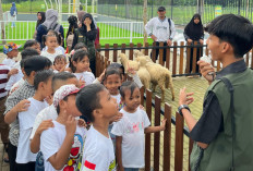The Nice Play Land Batang Diserbu Wisatawan, Wisata Anak dengan 70 Wahana