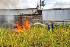 Lahan Alang-Alang Terbakar, Api Nyaris Lahap Minimarket dan Gudang Alfamart di Tegal
