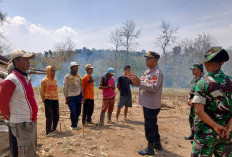 Antisipasi Karhutla Tegal: Patroli Hutan Margasari Disiagakan