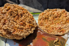 Kuliner Unik Pekalongan, Peyek Udang Raksasa Buatan Supi'ah