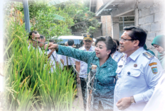 Lumbung Pangan Skala Kecil, Robby Hernawan Kuatkan Ketahanan Pangan di Salatiga Lewat Galon Bekas Panen Beras
