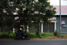 5 Koperasi Kelurahan Merah Putih di Kota Tegal Belum Kantongi Persetujuan Bangunan Gedung
