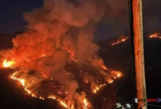 Kebakaran Hutan di Gunung Sumbing, 33 Pendaki Menunggu Penjemputan dan Jalur Kalikajar Ditutup