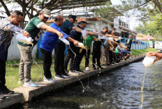 Penjernihan Sungai dengan Eco Enzim di Tegal, Wujud Sinergi Perguruan Tinggi dan Pemkot