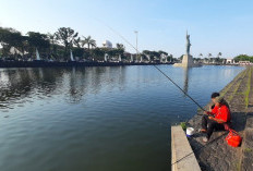 Polder Tawang Diserbu Ikan Sapu-Sapu, Dinas Perikanan Kota Semarang Mulai Siapkan Penanganan