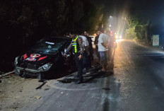 Oleng di Jalan Menurun, Minibus Tabrak Pohon hingga Terguling di Batang