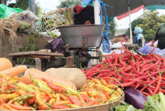 Pedas! H-2 Puasa Harga Cabai Rawit Setan Rp100 Ribu Per Kilogram