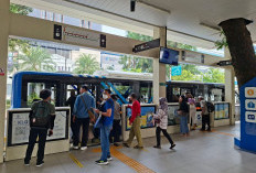 Menuju Sistem BRT Ideal: Menakar Tantangan Nyata Transformasi Trans Semarang