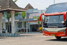 Terminal Gagak Rimang Blora Makin Sepi, Sopir Bus Pilih Mangkal di Eks Stasiun