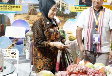 Jeruk Pamelo dan Tape Gembong Khas Pati Unjuk Pamer di Jateng Fair 2026