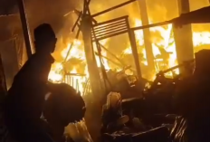 Rosok dan Kandang Ayam di Kawasan Sembir Sarirejo Salatiga Terbakar, 40 Ayam Terpanggang 
