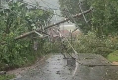 Hujan Disertai Angin Kencang Robohkan Tiang Listrik, Jalan Penghubung Ungaran Timur-Mranggen Putus