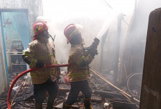 Tiga Rumah di Warungasem Batang Terbakar, Damkar Berjibaku di Gang Sempit