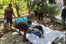 Mayat Pria Tanpa Kepala Diduga Korban Pembunuhan Gegerkan Warga Pulau Karimunjawa 