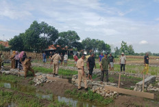 Koperasi Merah Putih Jadi Harapan Baru, Warga Kesadikan Tegal Optimis Bangkitkan Ekonomi Desa