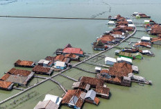 Abrasi 279 Meter per Tahun, AHY Besok Turun ke Timbulsloko Demak