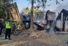 Kandang Ayam di Padureso Ludes Terbakar, Kerugian Capai Rp750 Juta Diduga Akibat Kebocoran Gasolek