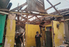 Rumah Mbah Danali Miring dan Bocor, LAZISMU Pekalongan Mulai Bedah Rumah