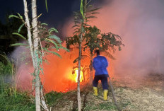 Kebakaran Alang-alang Dini Hari, Rumah Warga Demangaran Tegal Nyaris Dilalap Si Jago Merah