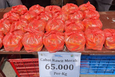 Operasi Pasar Cabai Jateng 2026, 3 Ton Rawit Bersubsidi Disalurkan ke 15 Kabupaten/Kota