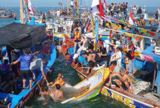 Tradisi Larung Kepala Kerbau di Laut Jepara, Dikawal Kapal Perang dan Kapal Nelayan