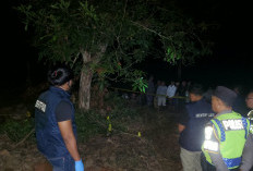 Cari Sejak Sore, Anak Temukan Ayah Meninggal dekat Pohon Kesambi