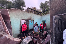 Rumah Warga Cerih Tegal Ludes Terbakar, Kerugian Sekitar Rp 100 Juta