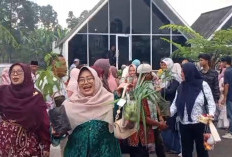 Nikah Tanggal Cantik 6-6-2026 di Kaki Gunung Slamet, Tamu Pulang Bawa Sayur dan Bonus Sengatan Lebah