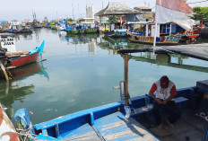 Cuaca Ekstrem Hentikan Nelayan Melaut, Pemkot Semarang Siapkan Solusi Budidaya Air Tawar