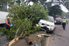 Pajero Sport Putih Oleng Tabrak Pohon di JLS Salatiga 