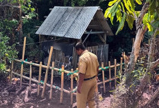 Lama Terendam Rob, Yoni Kuno di Gebang Demak Muncul Saat Kemarau, Warga Sebut Watu Lumpang
