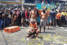 Peternak Bumi Mina Tani Mengamuk, Lempar Telur ke Kantor Bupati dan Bawa 1 Ton Ayam