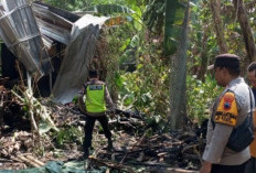 Kandang Sapi di Toroh Ludes Terbakar, Kerugian Capai Rp 40 Juta hingga Dua Ekor Luka-luka