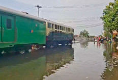 Genangan Air Tutup Jalur KA Pekalongan–Sragi, Sejumlah Kereta Dialihkan dan Dibatalkan