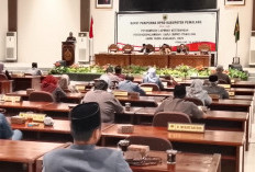 LKPJ Akhir Tahun Anggaran 2025, Belanja Tidak Terduga Pemalang Mencapai Rp 4,168 Milyar