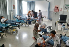 Rembang Darurat MBG! Ratusan Siswa Tumbang, Pemkab Siap Tetapkan Status KLB 