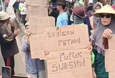 Petani Perhutanan Pati Bergejolak, Dipusingkan Kelangkaan Pupuk Subsidi