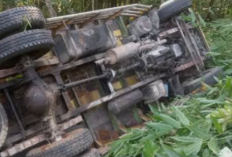 Truk Pengangkut Kuda di Terguling, Sopir Asal Klaten Tewas