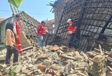 PMI Kota Tegal Tinjau Rumah Roboh di Kelurahan Cabawan, Tidak Ada Korban Jiwa